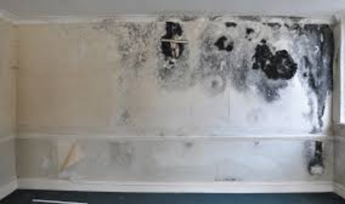 Combat Mould and Damp: The Role of Ventilation in Commercial Properties